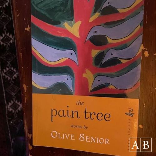 Op het nachtkastje van Raoul de Jong: Olivia Senior, The Pain Tree
